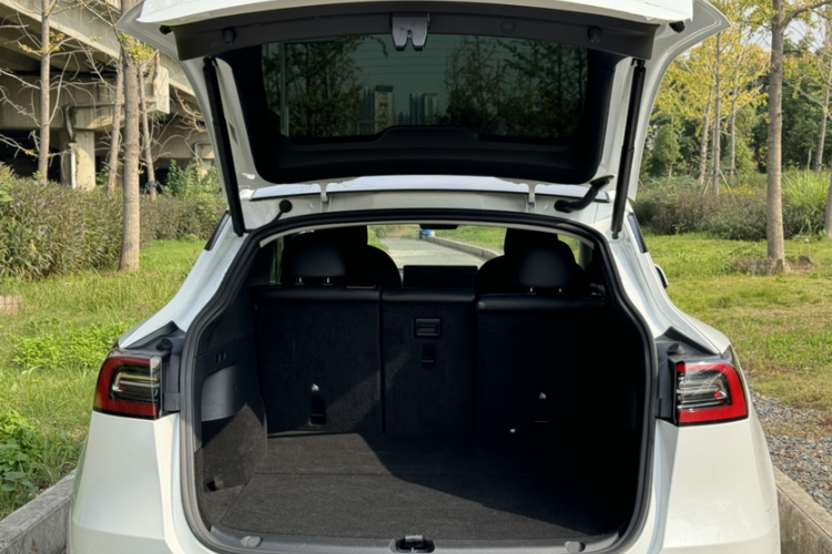 特斯拉 Model Y 2021款 标准续航后驱版车身外观6001