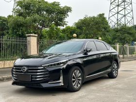 广汽传祺 传祺GA8 2020款 390T 尊荣版