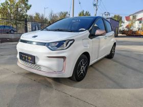 思皓 2022款 花仙子款 四叶草