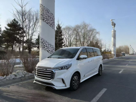 上汽大通MAXUS 大通G20 2020款 2.0T 汽油自动豪华版