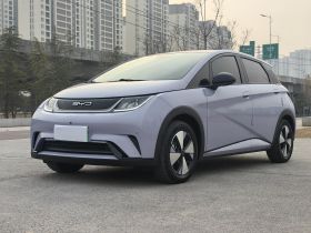 比亚迪 海豚 2023款 420km 时尚版