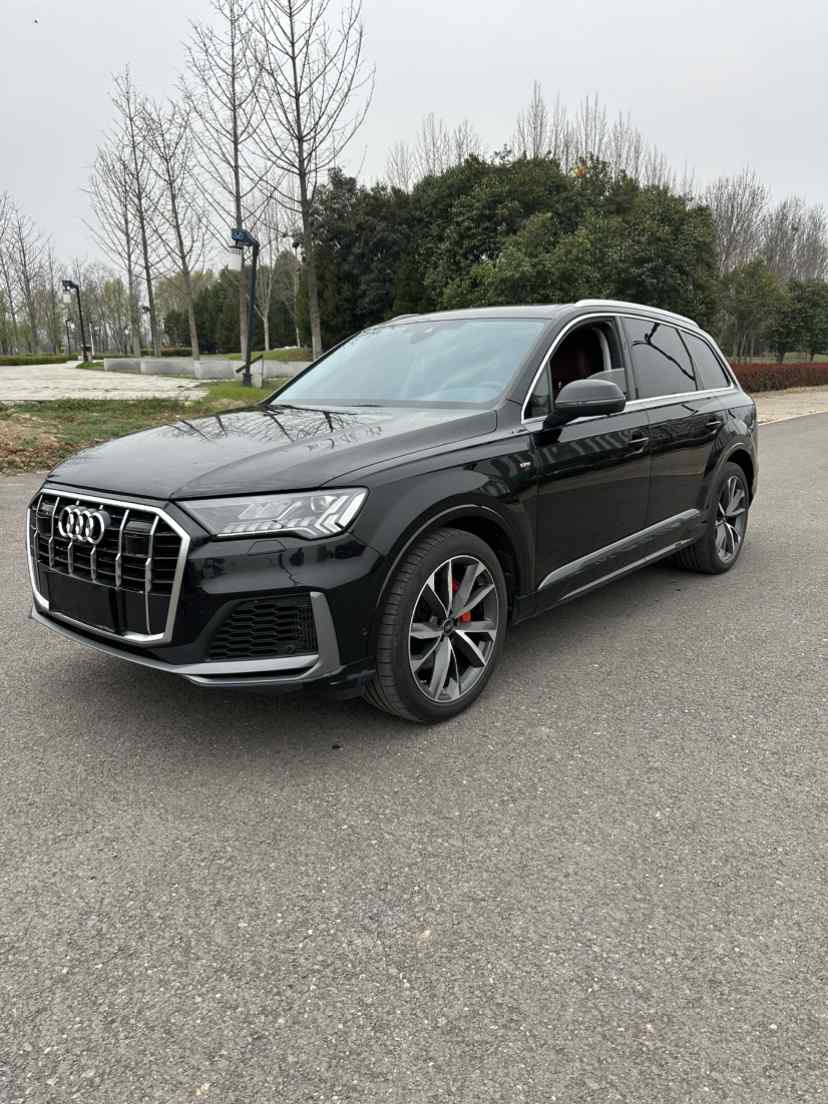 奥迪Q7 2023款 55 TFSI quattro S line运动型(2)