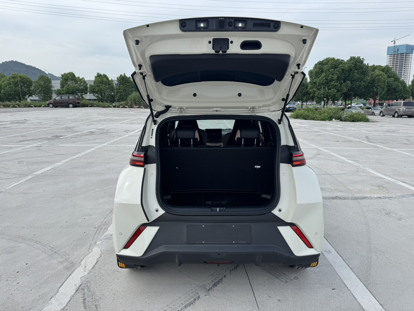 比亚迪 海鸥 2023款 飞翔版