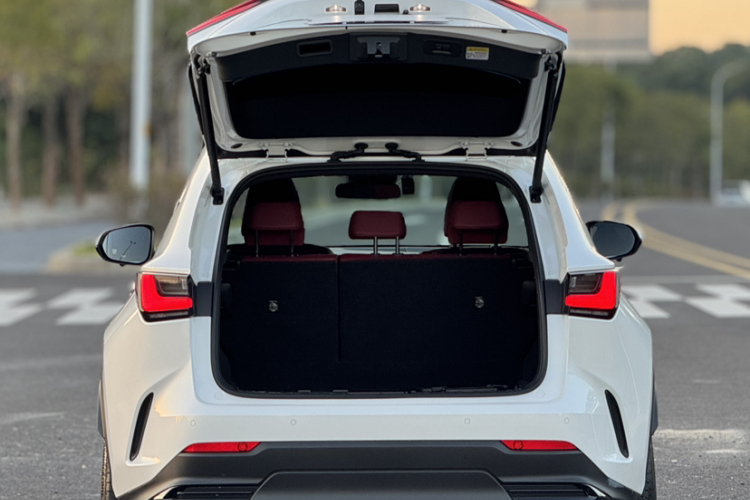 雷克萨斯NX 2022款 260 前驱 创悦版车身外观6004