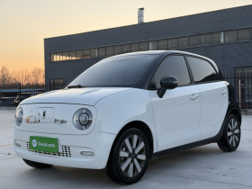 欧拉黑猫 2021款 351km 标准型