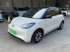 五菱汽车 五菱缤果 2023款 333km 灵犀互联+款