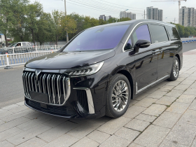 岚图汽车 岚图梦想家 2024款 PHEV 超长续航旗舰版