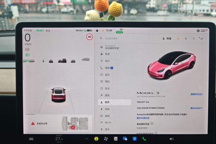 特斯拉 Model 3 2021款 标准续航后驱升级版 3D6中控内饰15