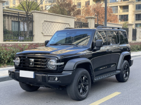 坦克300 2023款 越野版 2.0T 征服者