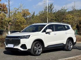 吉利汽车 豪越L 2024款 2.0T DCT旗舰型