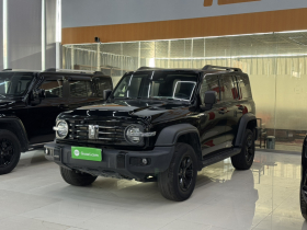 坦克300 2021款 越野版 2.0T 征服者