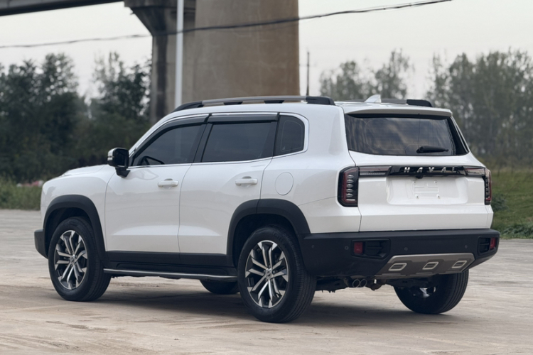 哈弗大狗 2021款 改款 1.5T DCT两驱马犬版车身外观6005