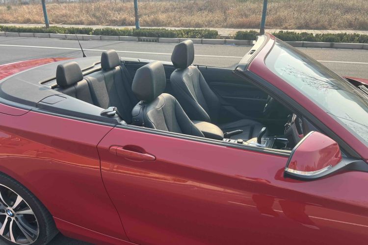 宝马2系(进口) 2019款 225i 敞篷轿跑车 运动设计套装车身外观6002