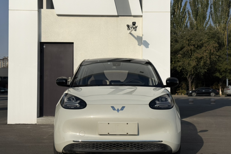 五菱汽车 五菱缤果 2023款 333km 灵犀互联款车身外观6004