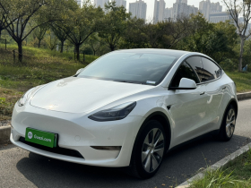 特斯拉 Model Y 2021款 标准续航后驱版