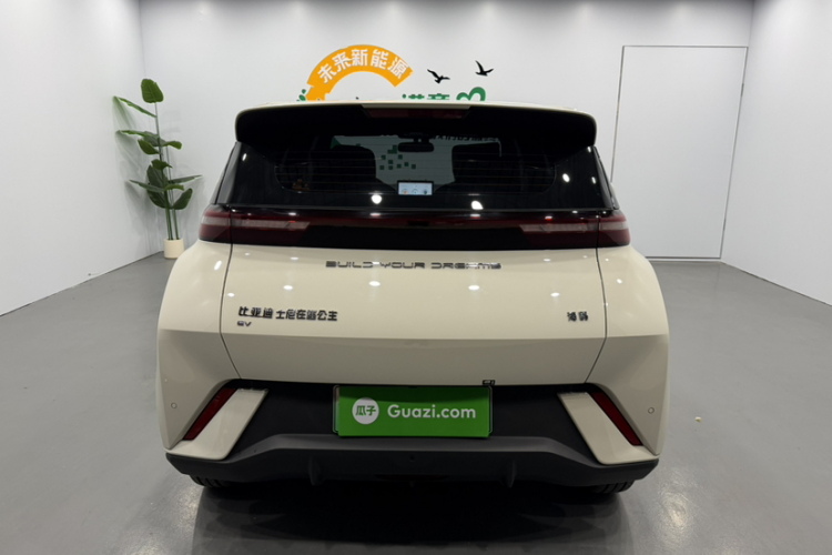 比亚迪 海鸥 2023款 活力版车身外观6002