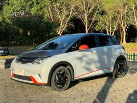 比亚迪 海豚 2021款 405km 自由版