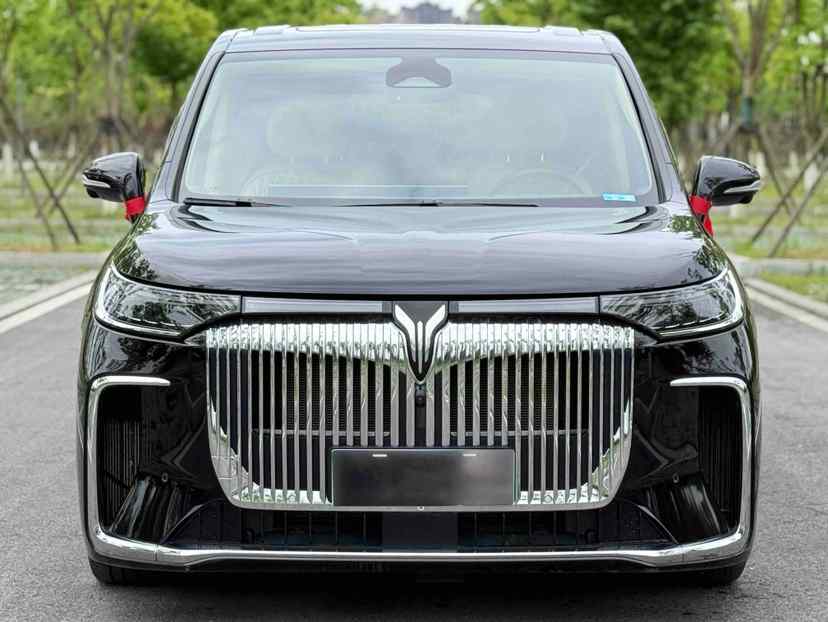 岚图汽车 岚图梦想家 2025款 PHEV 四驱旗舰鲲鹏版(4)