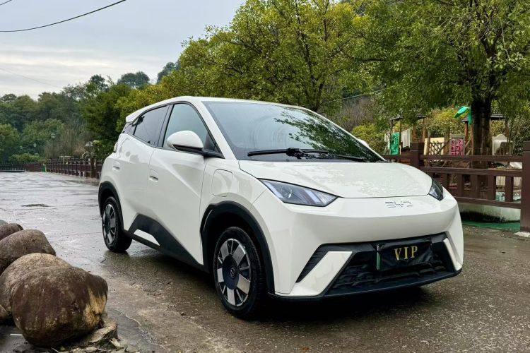 比亚迪 海鸥 2024款 荣耀版 305km 活力版车身外观6002