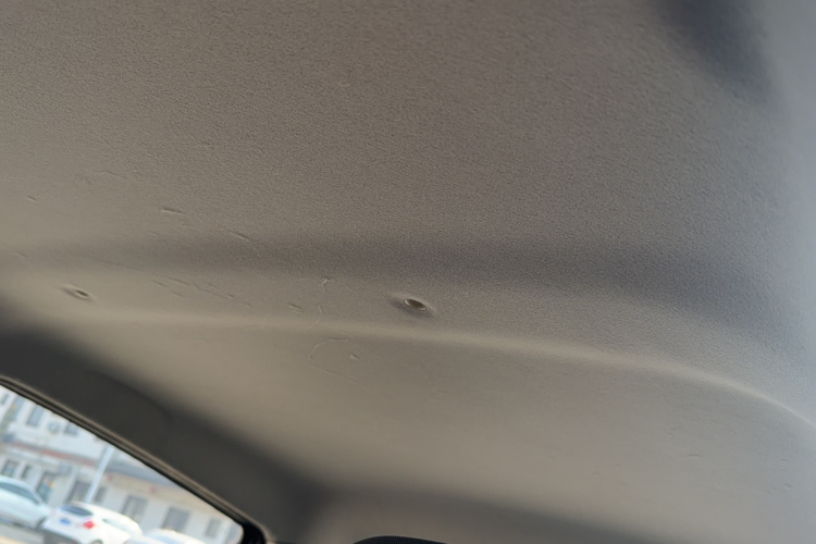 思皓 花仙子 2021款 200km 经典型局部细节22