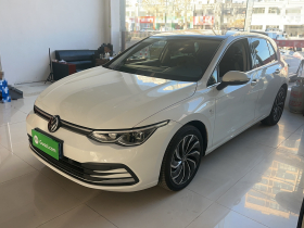 大众 高尔夫 2021款 280TSI DSG Pro