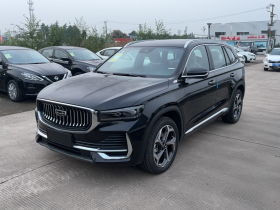 吉利汽车 星越L 2024款 2.0TD DCT EVO两驱长风版