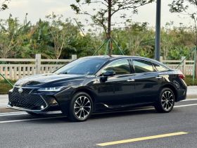 丰田 亚洲龙 2023款 2.5L 豪华版