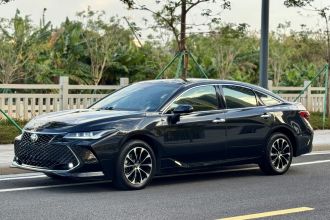 丰田 亚洲龙 2023款 2.5L 豪华版