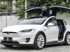 特斯拉 Model X 2019款 长续航版