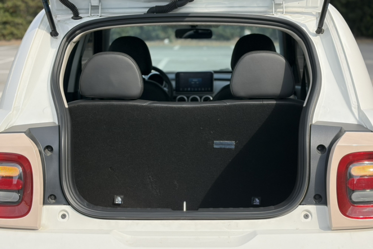 欧拉黑猫 2022款 351km 标准型 三元锂中控内饰7002