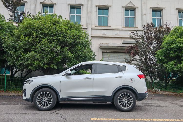 哈弗H6 2019款 蓝标 2.0GDIT 自动豪华智联版车身外观6002