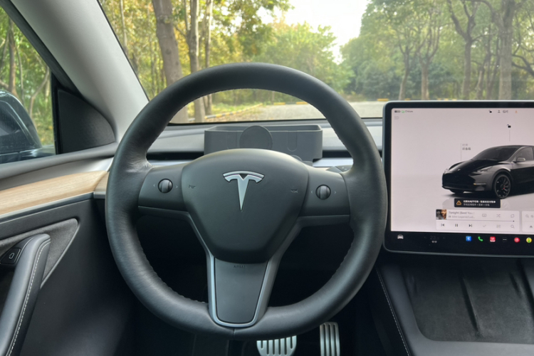 特斯拉 Model Y 2021款 Performance高性能全轮驱动版局部细节13