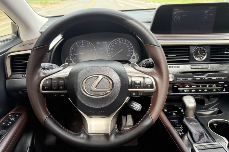 雷克萨斯RX 2020款 300 四驱典雅版 国VI局部细节23