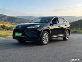 丰田 威兰达 2020款 2.0L CVT两驱豪华版