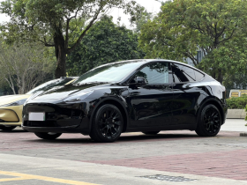 特斯拉 Model Y 2021款 标准续航后驱版