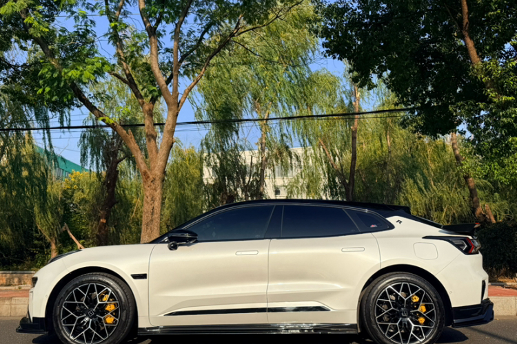 极氪001 2025款 WE版 100kWh 后驱车身外观6009