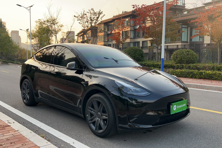 特斯拉 Model Y 2022款 后轮驱动版车身外观6006