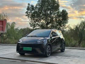 比亚迪 海鸥 2023款 飞翔版