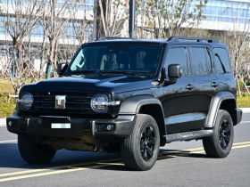 坦克300 2024款 2.0T 征服者