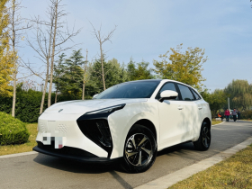 东风风行 风行雷霆 2024款 410+