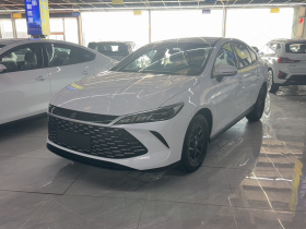 比亚迪 秦PLUS 2024款 荣耀版 DM-i 55KM领先型