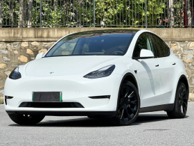 特斯拉 Model Y 2021款 长续航全轮驱动版