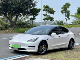 特斯拉 Model 3 2021款 标准续航后驱升级版 3D6