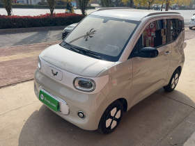 五菱汽车 宏光MINIEV 2024款 第三代 215km 进阶版