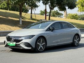 奔驰EQE 2022款 350 先型特别版