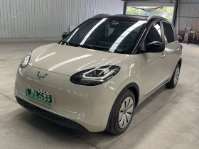 五菱汽车 五菱缤果 2023款 333km 快享款