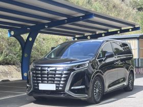 腾势D9 2024款 DM-i 980 四驱尊贵型