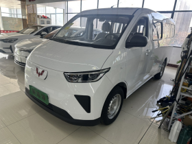 五菱汽车 五菱扬光 2024款 300KM 舒适型客车版 75kW