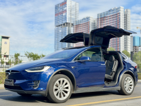 特斯拉 Model X 2019款 长续航版