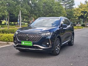 魏牌 拿铁DHT-PHEV 2022款 1.5T 四驱超大杯